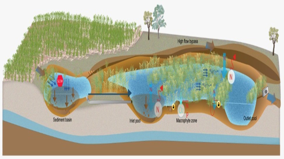 Wetland Planning